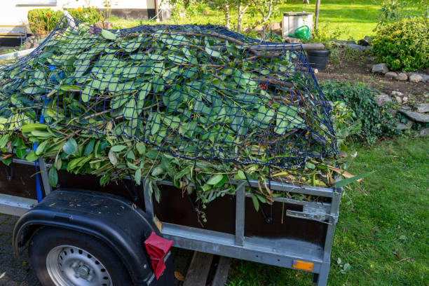 Best Dumpster Rental Services  in Prescott, AZ